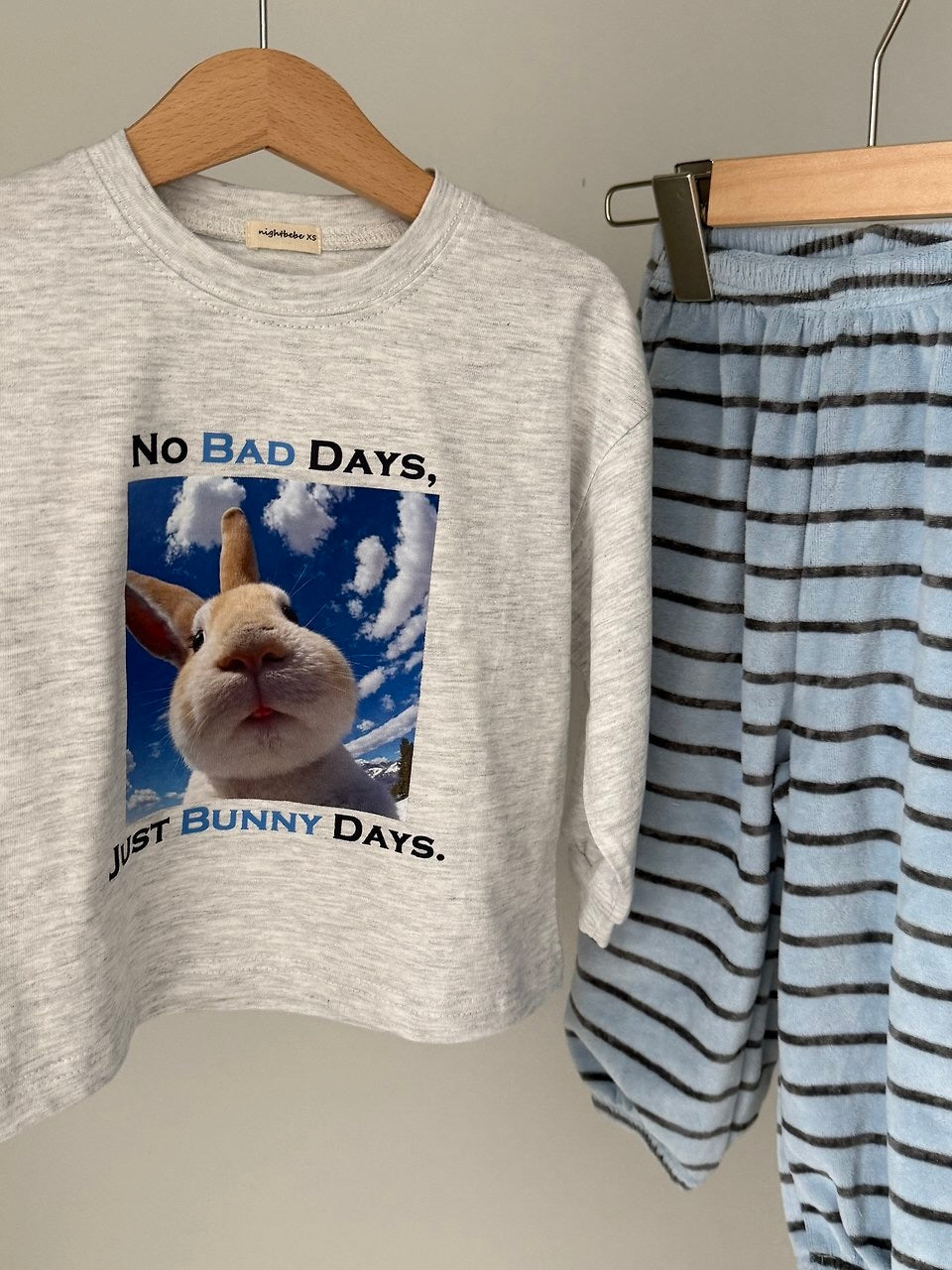 Flying bunny long sleeve T