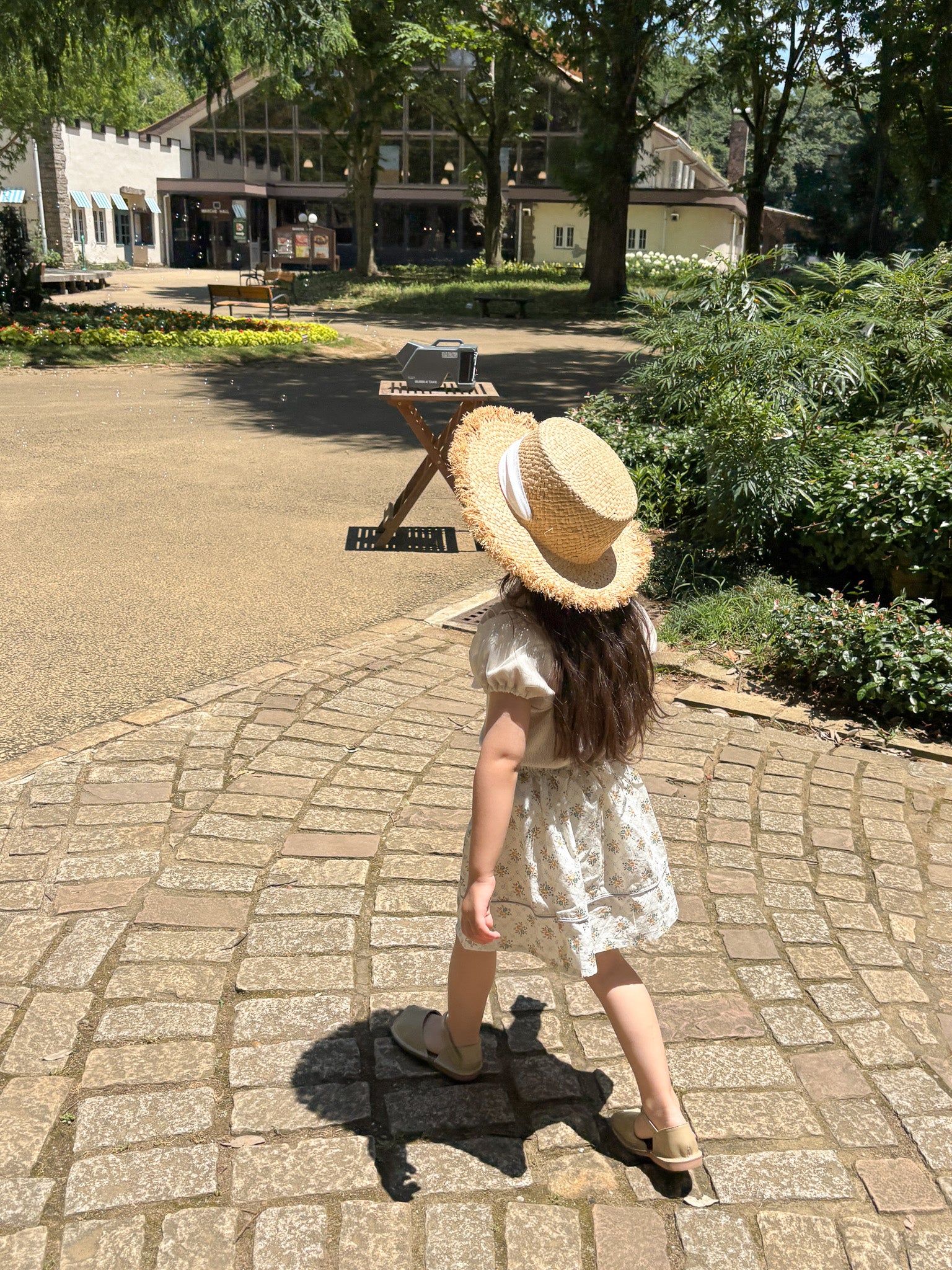 Charlotte T