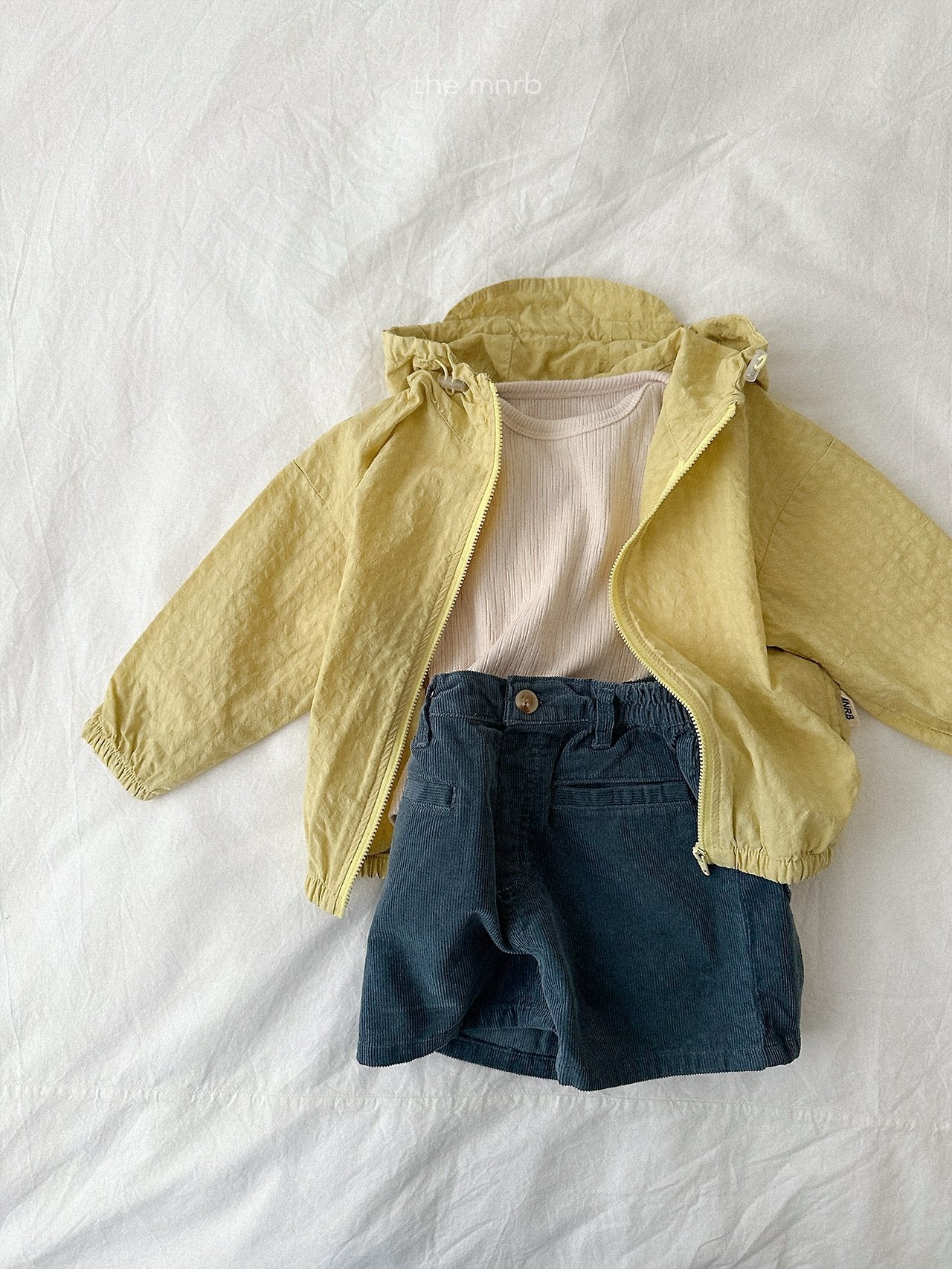 Critic rib T