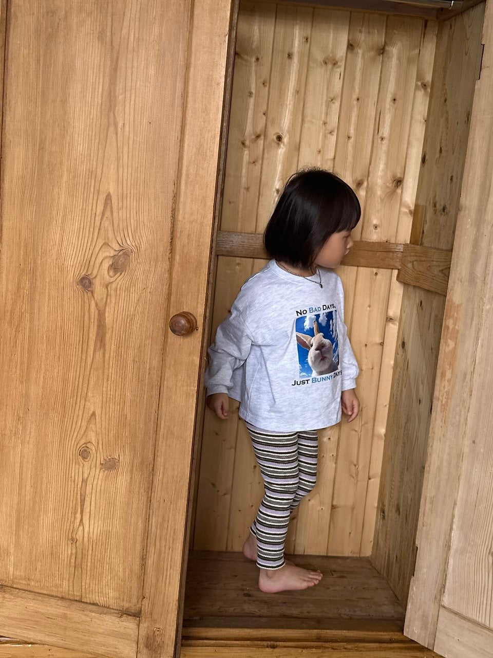 Flying bunny long sleeve T