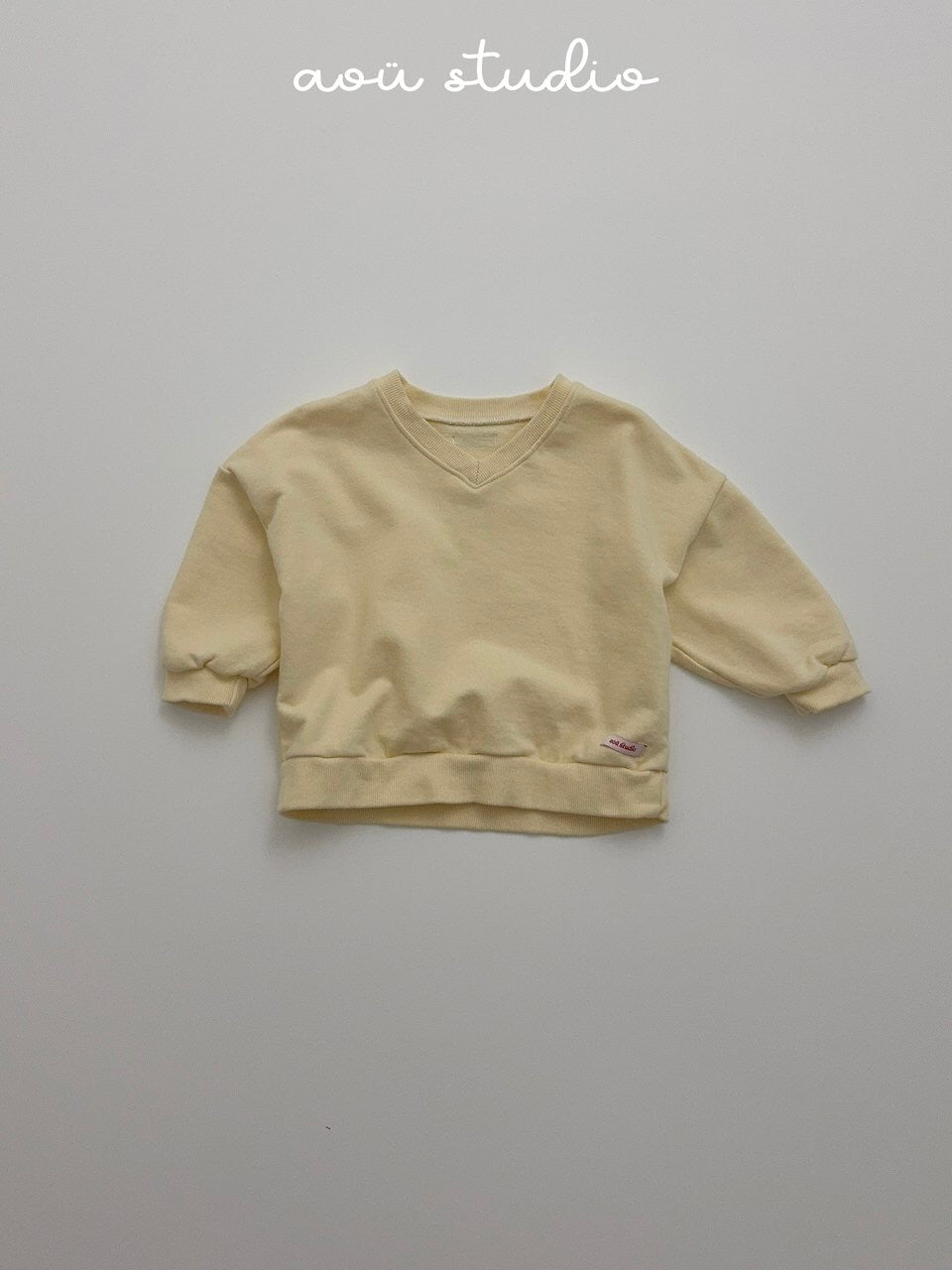 Benny V-neck sweatshirt