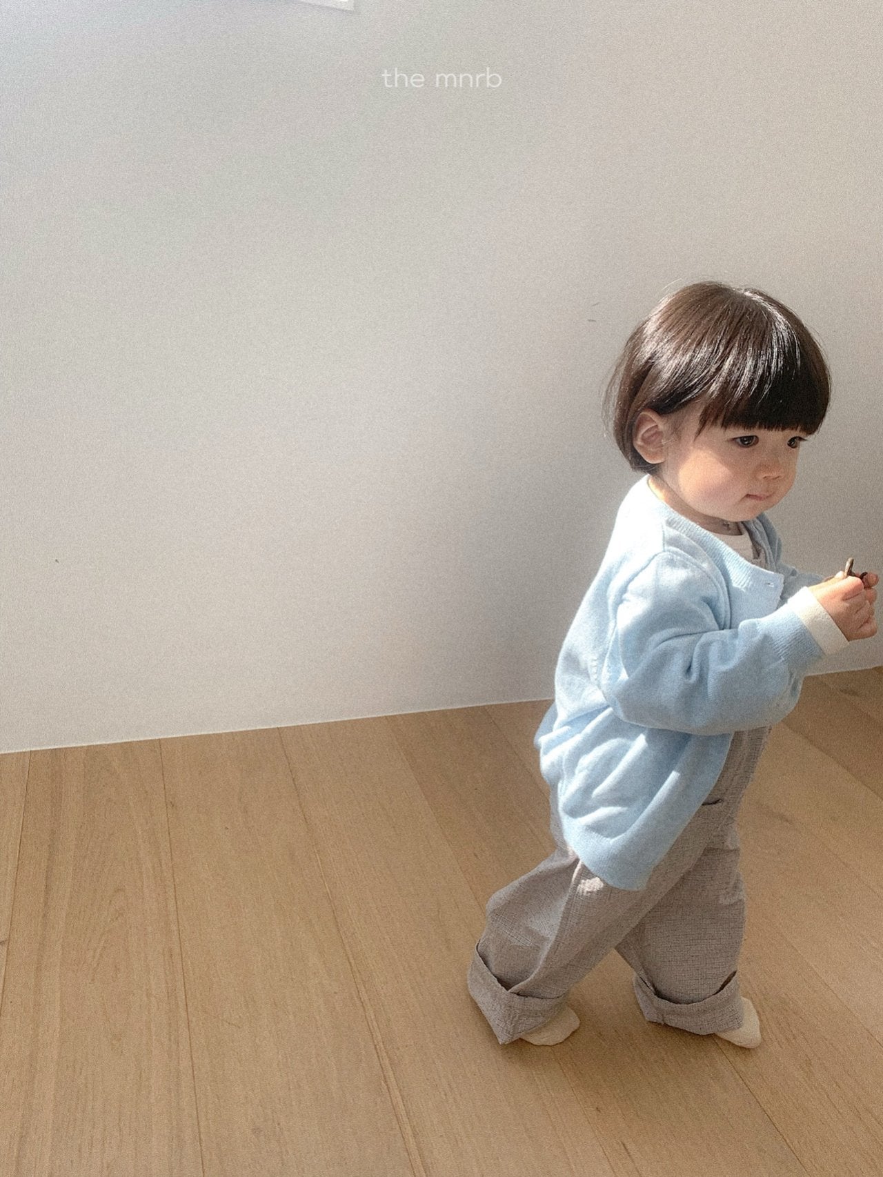 Modern Check Overall